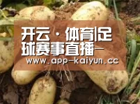 产品展示标题2