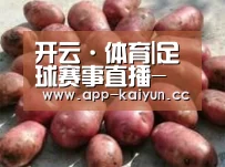 产品展示标题5