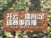 种植基地八(图1)