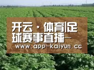 种植基地五(图1)