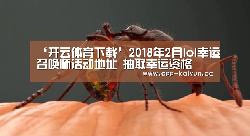 开云体育下载