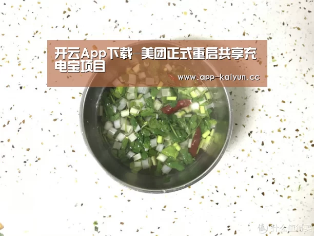 开云App下载-美团正式重启共享充电宝项目(图2) 开云体育下载